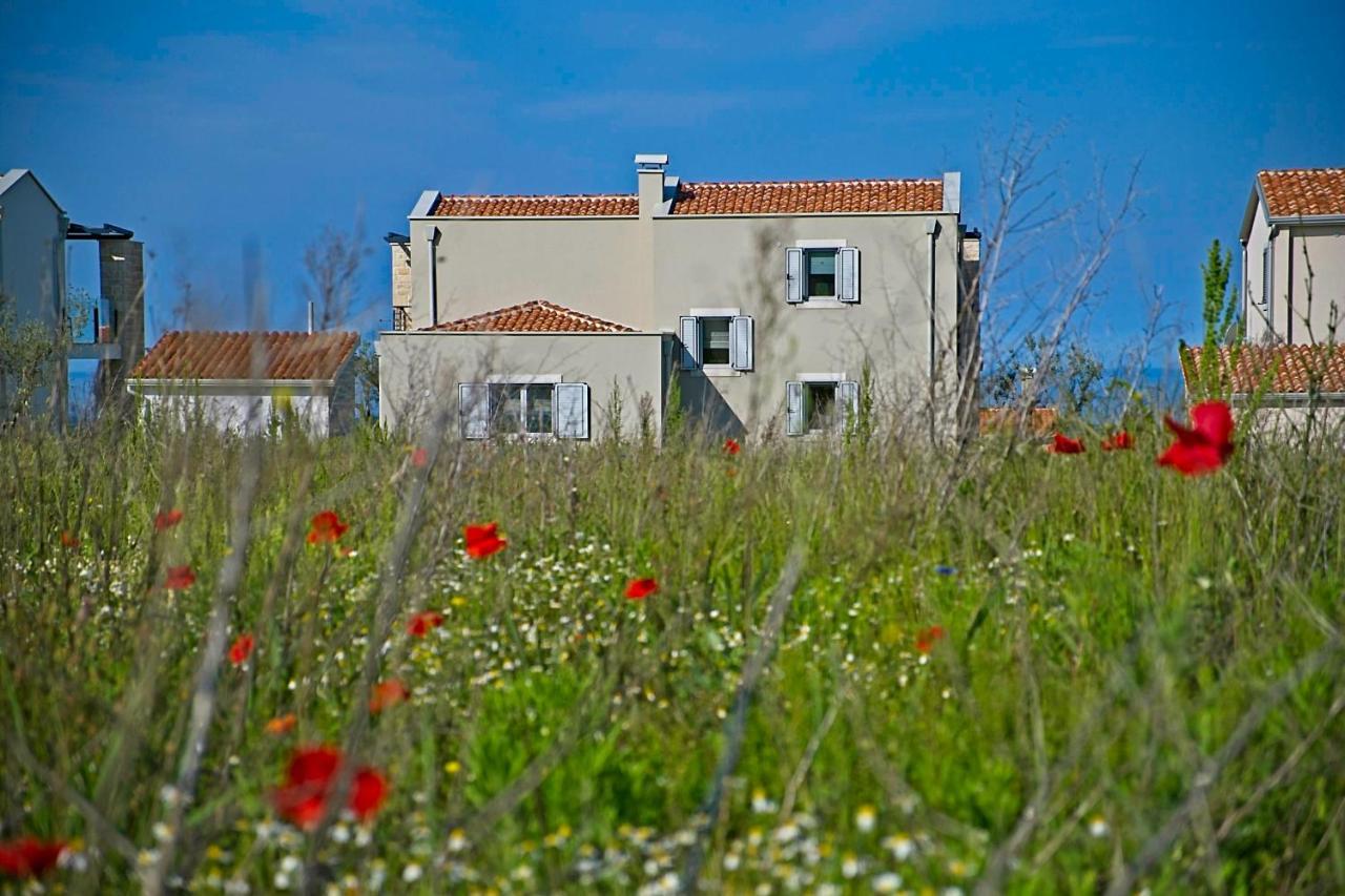Villa Flamingo Kaštelir Exterior foto